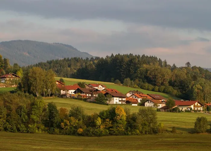 Bergesblick Lam