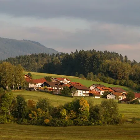 Bergesblick Lam